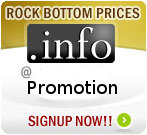 .info domain promotion