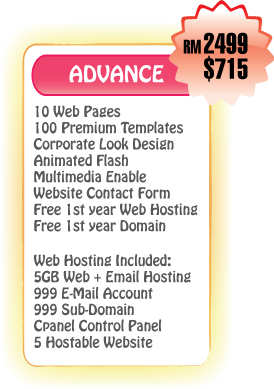 webdesign-inside-advance2 webdesign-inside-advance2